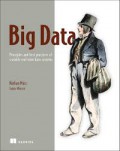 Big Data: Principles and Best Practices of Scalable Real-Time Data Systems