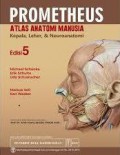 Prometheus atlas anatomi manusia : kepala, leher, & neuroanatomi, ed. 5.